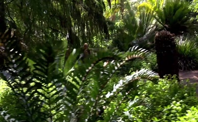 ANGIE SAVAGE NUDE/SEXY SCENE IN PIRANHACONDA