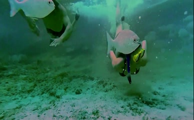 KRISTY WRIGHT,ALEISHA ROSE NUDE/SEXY SCENE IN STRANDED PEARL