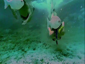 KRISTY WRIGHT in STRANDED PEARL (2024)