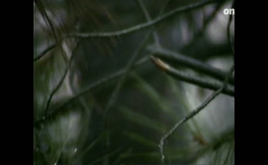 MURIEL BAUMEISTER NUDE/SEXY SCENE IN EIN HAUS IN DER TOSKANA