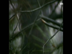 MURIEL BAUMEISTER in EIN HAUS IN DER TOSKANA