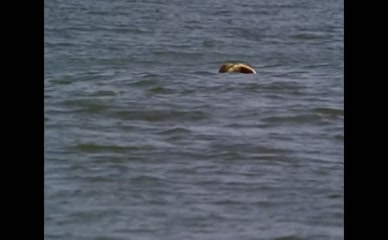 ALYSSA MILANO NUDE/SEXY SCENE IN CHARMED