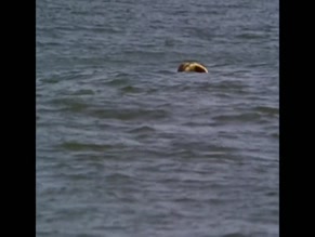 ALYSSA MILANO NUDE/SEXY SCENE IN CHARMED