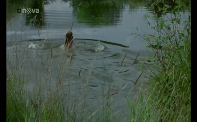 MONIKA ZOUBKOVA NUDE/SEXY SCENE IN OPERACE DUNAJ