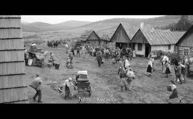 DENISA PFAUSEROVA NUDE/SEXY SCENE IN THE PAINTED BIRD