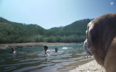 ANABELA CAETANO NUDE/SEXY SCENE IN THE FIRST SUMMER