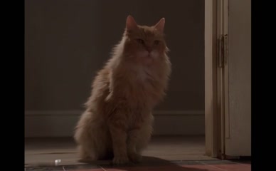 VERONICA HART NUDE/SEXY SCENE IN SIX FEET UNDER