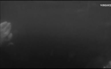 SONJA MIKLAUZIC NUDE/SEXY SCENE IN BAGER