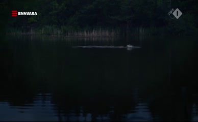 MALOU GORTER NUDE/SEXY SCENE IN OOGAPPELS