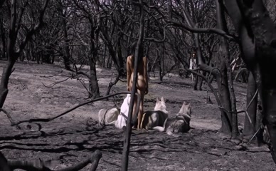 NICOLE BRANCH NUDE/SEXY SCENE IN GRAVITATE