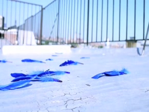 CONSTANCE LABBE NUDE/SEXY SCENE IN COCO CALYPSO