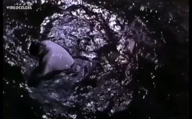 PETRA MORZE NUDE/SEXY SCENE IN STILLE WATERS