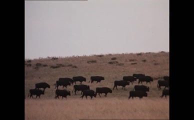 SHARON STONE NUDE/SEXY SCENE IN BLOOD AND SAND