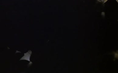 EMMA JACOBS NUDE/SEXY SCENE IN THE STUD