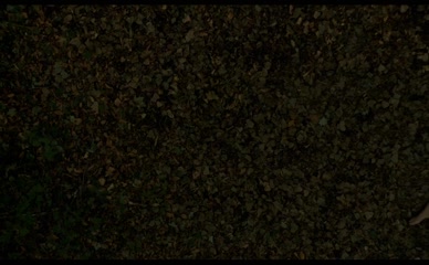 MYLENE MACKAY NUDE/SEXY SCENE IN NELLY