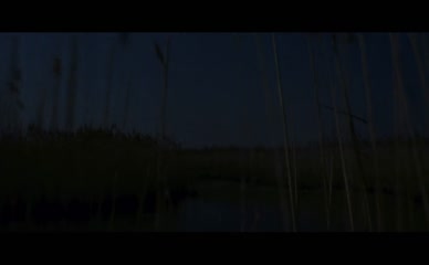 BARBARA BOUCHET NUDE/SEXY SCENE IN ALLA RICERCA DEL PIACERE