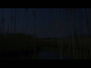 BARBARA BOUCHET NUDE/SEXY SCENE IN ALLA RICERCA DEL PIACERE