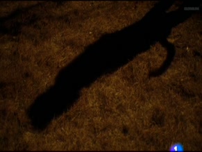 ANA ALVAREZ in TIERNO VERANO DE LUJURIAS Y AZOTEAS (1993)