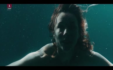ANN ELEONORA JORGENSEN NUDE/SEXY SCENE IN HERRENS VEJE