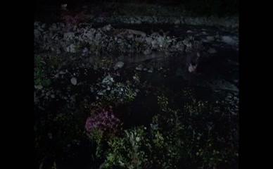 IA SUKHITASHVILI NUDE/SEXY SCENE IN BEGINNING