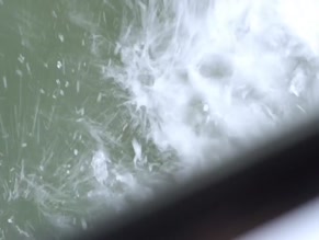 JENNA KRASOWSKI NUDE/SEXY SCENE IN NESTING DOLLS