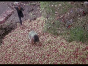 TRACY HYDE NUDE/SEXY SCENE IN THE ORCHARD END MURDER