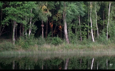 DIANE LOW NUDE/SEXY SCENE IN AU RISQUE DU DEMON