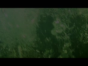 SARAH OH in THE CRYPT (2009)