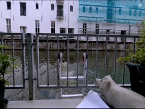 HANNAH HOEKSTRA NUDE/SEXY SCENE IN LOVE IN A BOTTLE