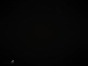 BELLA THORNE in RUMBLE THROUGH THE DARK (2023)