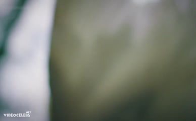 29-April-2025
