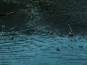 LAURA LONDONO NUDE/SEXY SCENE IN THE GUEST