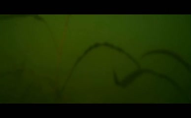 MALLORY HARGROVE NUDE/SEXY SCENE IN BULL SHARK