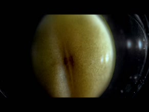 MARGARET QUALLEY NUDE/SEXY SCENE IN THE SUBSTANCE