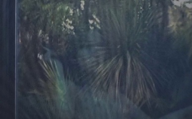 MATHILDE OLLIVIER NUDE/SEXY SCENE IN THE WAILING