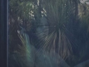 MATHILDE OLLIVIER NUDE/SEXY SCENE IN THE WAILING